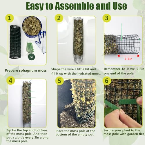 60" Metal Moss Pole, 2 Pack Moss Poles for Plants Monstera, Stackable Sphagnum Moss Pole, Plant Poles for Climbing Plants Work with Sphagnum Moss(2 Pack 60") - view 7