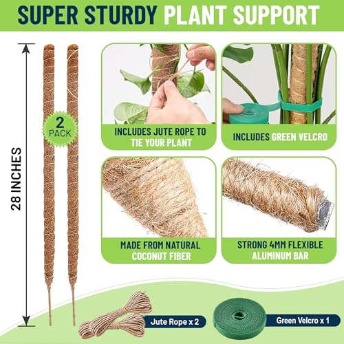 Moss Poles for Climbing Plants – Bendable Stake for Indoor Plants 28 Inch (2 Pack), Monstera Support, Moss Stick, Climbing Plant Support - view 2