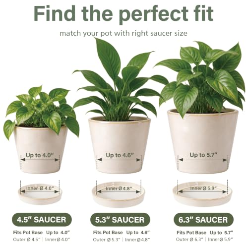 Plant Saucers, 2-Pack 6.5 Inch Ceramic Flower Pot Saucers, Thickened Plant Pot Saucers, Plant Trays to Catch Water for Indoors Outdoors Medium Potted Plants (White) - view 2