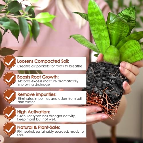 Horticultural Charcoal, Premium 1QT Activated Charcoal for Plants - view 4