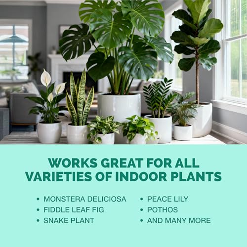 Indoor Plant Food, Complete Liquid Fertilizer for Houseplants, 32oz - view 6