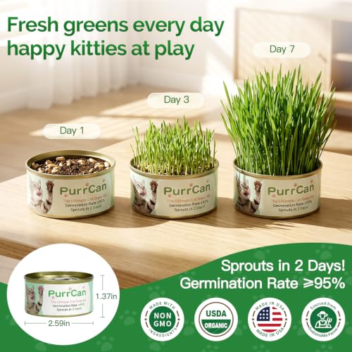 Cat Grass Growing Kit – 6 Cans, Non-GMO Organic Wheat Seeds - view 3