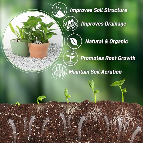 3 Quarts Chunky Perlite for Plant Soil Amendment for Potting Soil, Improves Drainage and Aeration for Soil, Ideal for Succulents, Orchid, Flower Plants (1/4 inch) - view 4