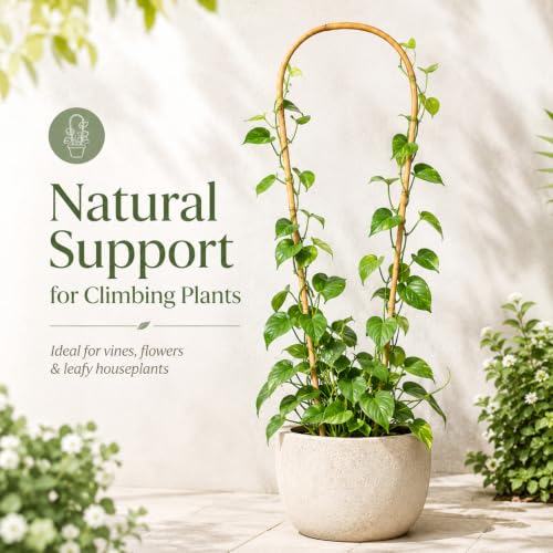 24in Natural Bamboo U-Hoop Trellis for Climbing Plants, 10 PCS - view 3