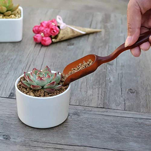 15 Pcs Succulent Plant Tools Set - view 4