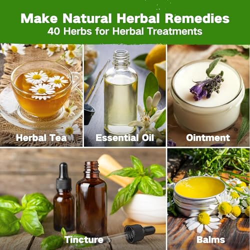 Lush&Dew Ancestral Apothecary Medicinal Tea Herb Seed Chest, Gardening Gift - view 3