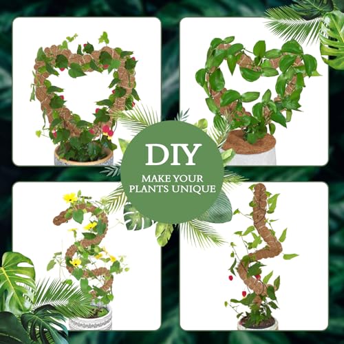 2 Pack 25 Inch Coco Coir Moss Poles for Climbing Indoor Plants - Handmade Plant Support for Creepers to Grow Upwards - view 4