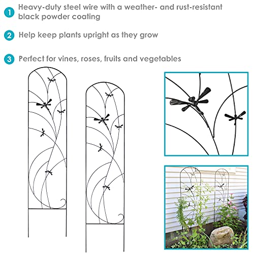 Sunnydaze 56" Black Metal Garden Trellis for Climbing Plants, 2-Pack - view 2