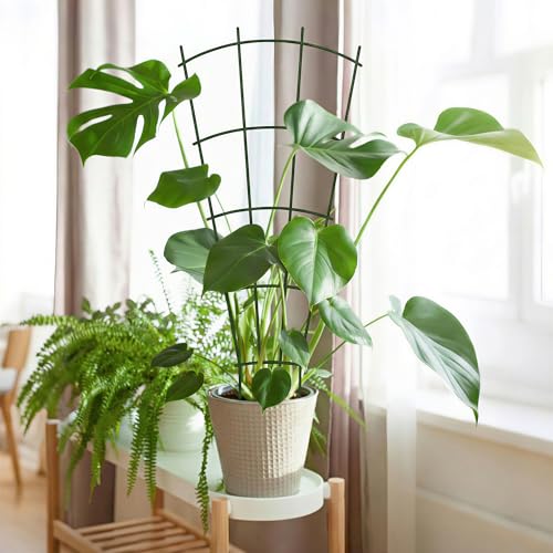 24" Metal Plant Trellis, Climbing Plant Support, 4 Pack (Green) - view 6