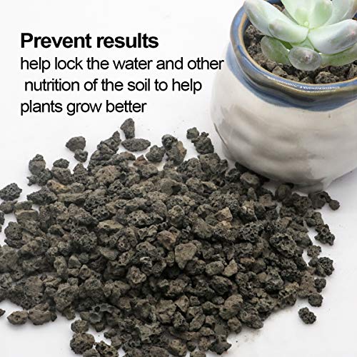 Black Horticultural Lava Rock Soil Additive for Cacti Succulents Plants No Dyes or Chemicals 100% Pure Volcanic Rock 2.2LB Top Dressing - view 5