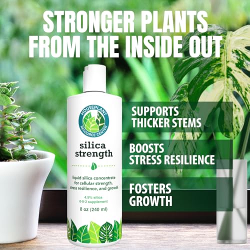 Monstera Growth Power-Duo Bundle – Silica Strength (4.5% Potassium Silicate) + Monstera Plant Food (5-2-3 NPK) | Builds Stronger Stems & Lush Leaves | 2 × 8 oz Concentrates - view 4
