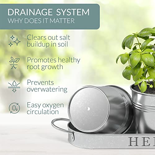 Indoor Herb Garden Planter Pots Set/3 (Galvanized) - view 5