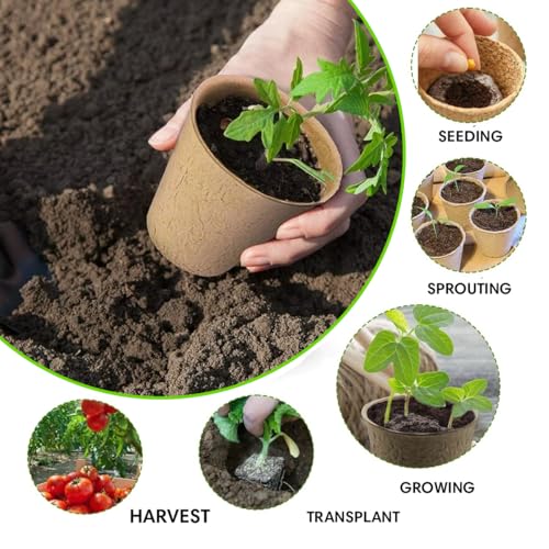 Seed Starter Kit - 10 Peat Pots, Coco Coir Discs & Markers - view 6