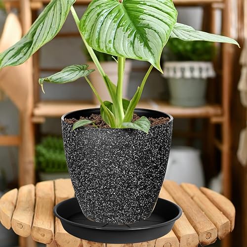 6 Pack of Plant Saucer Tray 7 8 inch, Heavy Duty Plastic Pot Plant Drip Trays Saucers for Indoors Outdoor, Plant Water Tray for Planters 7-9" (8", Black) - view 5