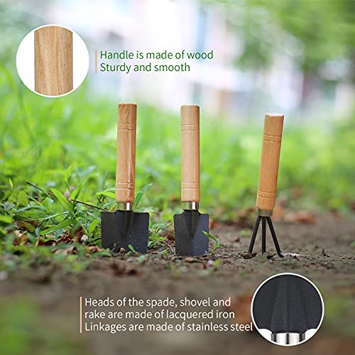 11Pcs Succulent Tools, Mini Garden Tools, Plant Repotting Set(No Flowerpot) - view 4