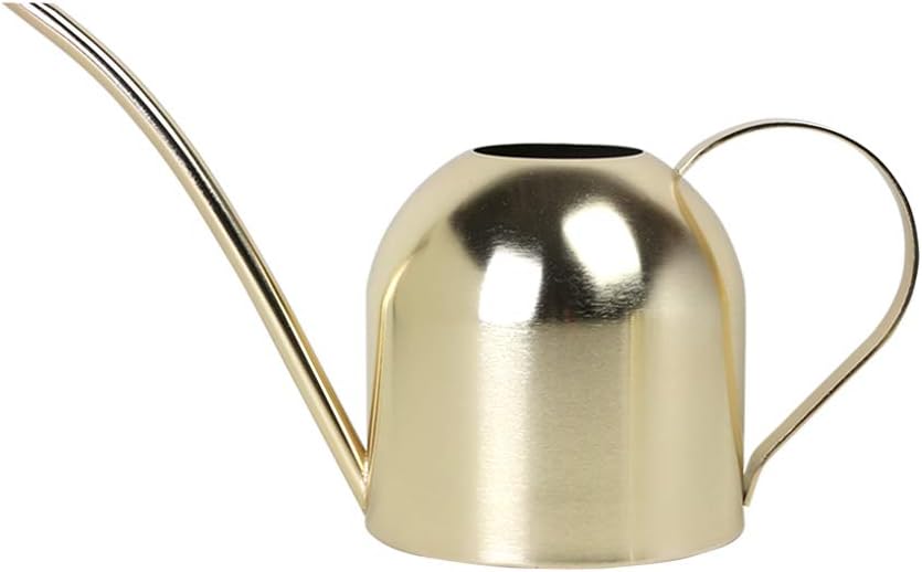 Stainless steel water can for indoor plants and garden (gold 30 oz) | stainless steel, long spout, houseplants, succulents, herbs, precise watering, balanced handle, rust resistant