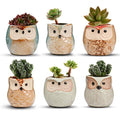 Owl Succulent Pots, Mini Ceramic Gift Pots with Drainage, Retro 6 Pack