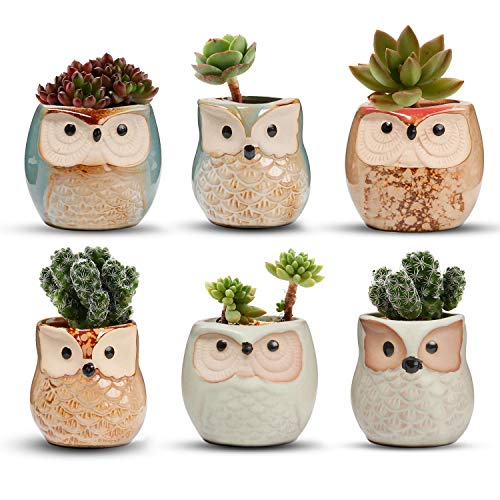 Owl Succulent Pots, Mini Ceramic Gift Pots with Drainage, Retro 6 Pack