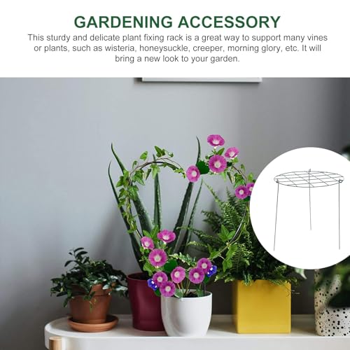 2pcs Iron Plant Climbing Rack Pole for Potted Creeper Garden Support - view 7