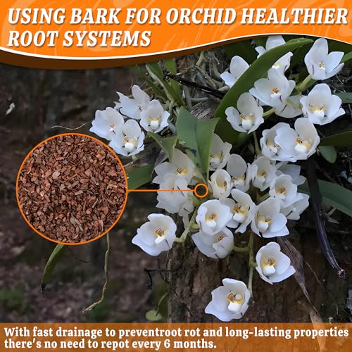 Orchid Potting Bark-3QT Organic Orchid Bark for Plants, All Natural Pine Bark Wood Chips Orchid Bark Potting Mix for Houseplant Mulch, Help Orchid Plants Root Health Development - view 3