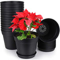 6 Inch Plastic Plant Pots with Drainage Holes and Saucers (15 Pcs)