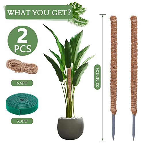 2 Pack Moss Pole for Plants Monstera - 25 Inch Plant Stakes for Indoor, Moss Poles for Climbing Plants, Handmade Coco Coir Pole Plant Support for Creeper Plants Grow Upwards（Handmade Palm） - view 7