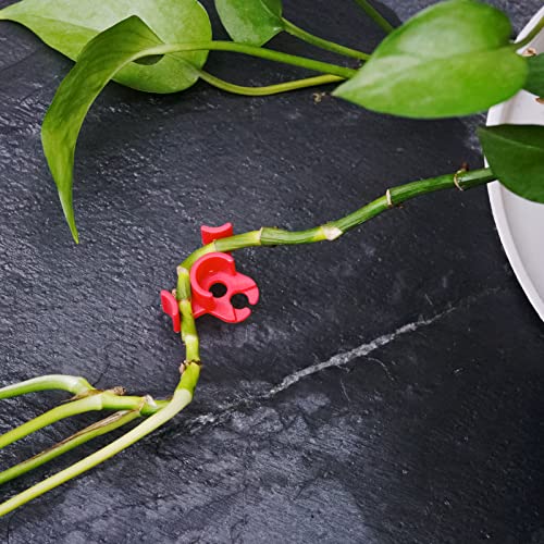 30-Pack 90° Plant Training Clips, Red Plant Clips - view 5