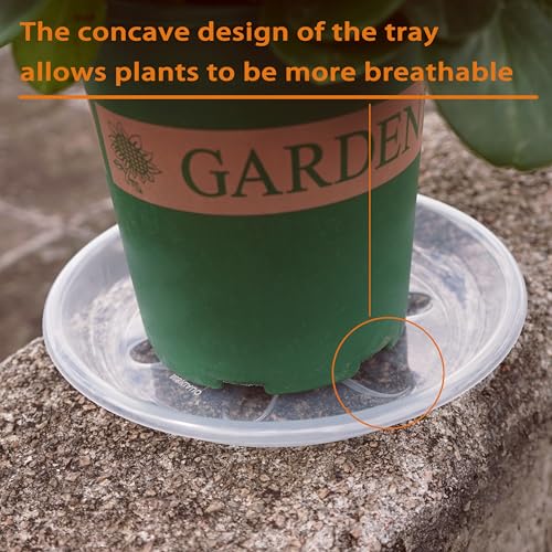 6 Pack of Plant Saucer, 6 inch Clear Plant Trays for Pots, Plant Water Catcher Tray, Plant Plate for Indoors Outdoors - view 4