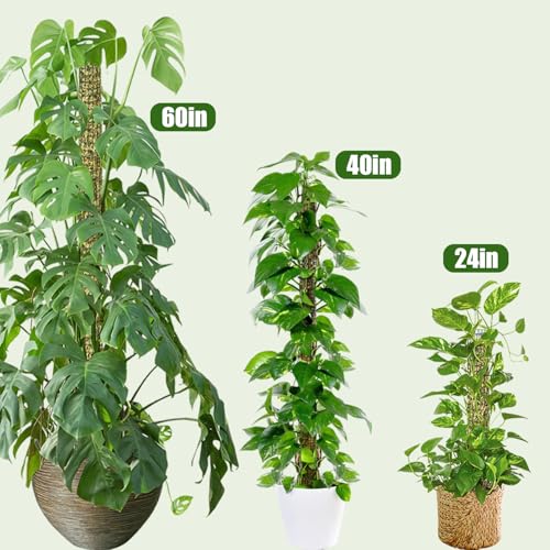 60" Metal Moss Pole, 2 Pack Moss Poles for Plants Monstera, Stackable Sphagnum Moss Pole, Plant Poles for Climbing Plants Work with Sphagnum Moss(2 Pack 60") - view 2