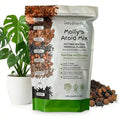 Molly's Aroid Potting Mix, Chunky Soil-Free for Indoor Plants, 3 Dry Quarts