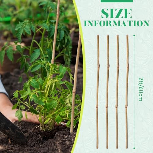 100 Pcs Bamboo Plant Stakes Natural Garden Support Sticks,2 ft - view 2