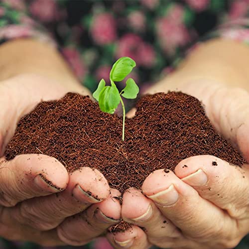 Home and Country Triple Washed Compressed Coco Coir Brick (40 LBS) - Coco Fiber is an Ideal Compost Starter for Your Home Garden. Coco Coir Bricks Provide Organic Alternative to Peat Moss for Plants. - view 6