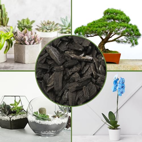 Horticultural Charcoal for Indoor Plants (8 Quarts) Hardwood Soil Additive for Orchids, Terrariums, and Gardening - view 6