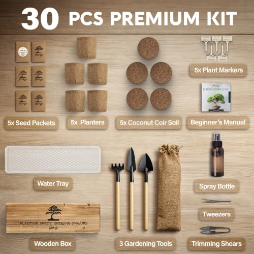 Bonsai Tree Kit Deluxe - Growing 5 Unique Japanese Bonzai Trees - view 6