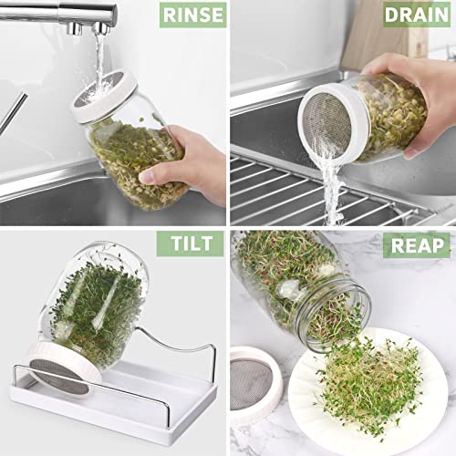 Complete Sprouting Jar Kit| 2 Wide Mouth Mason Jars, 316 Screen Sprout Lids, Blackout Sleeves, Tray, Stand| Sprouter Set for Growing Broccoli, Alfalfa and More-Seeds not Included - view 5