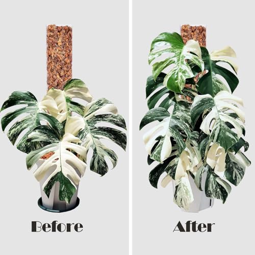2 Pcs 17 Inch Plastic Moss Pole for Plants Monstera,Designed Specifically for Climbing Plants, Stackable Plant Support for Indoor Plants - view 4