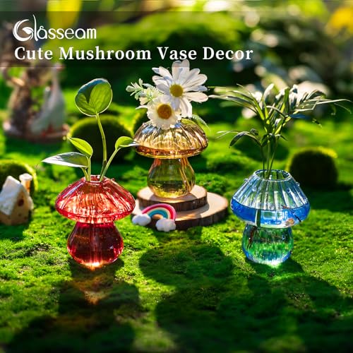 3Pcs Mushroom Propagation Station: Glass Terrarium Jar for Plants - view 2