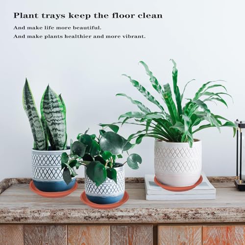 6 Pack of 12 inch Plant Saucer Plant Tray, Plastic Plant Saucer 12 inch, Heavy Duty Plant Tray for Pots, Plant Saucers for Indoors Planter, Garden Water Plate Bowls 10"/11"/12" (Terracotta) - view 3