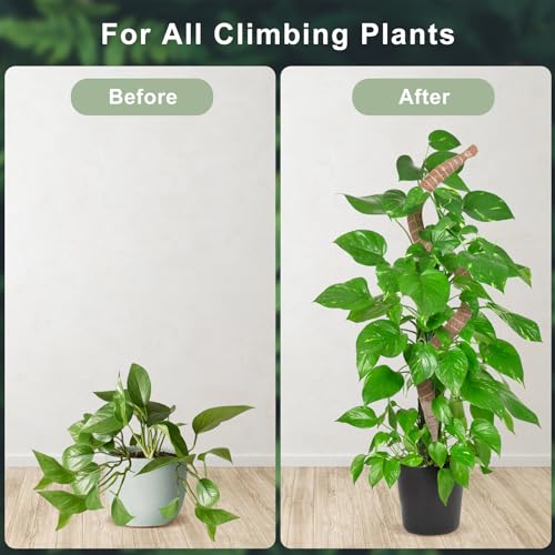 60 Inch Moss Pole, Bendable Moss Pole for Plants Monstera, Tall Moss Poles for Climbing Plants Indoor, Large Support, Garden Trellis Stick Stakes for Plants - view 4