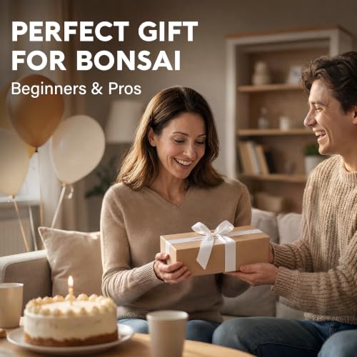 Bonsai Starter Kit – Growing Jacaranda Bonzai Tree - view 5