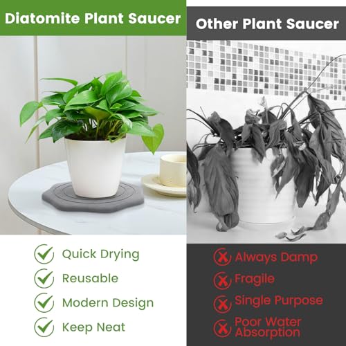 Plant Saucer for Indoors, 2 Packs 8 12 inch, Diatomaceous Earth Pot Saucers No Holes, Instant Dry Plant Drainage Trays for Pots, Dark Gray - view 5