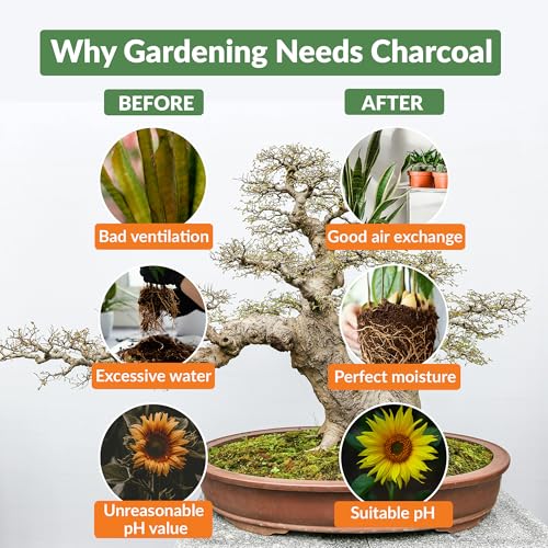 Premium Horticultural Charcoal Chips, Natural Soil Amendment for Areation and Healthy Microbe and Plant Growth. (24 Quarts) - view 4