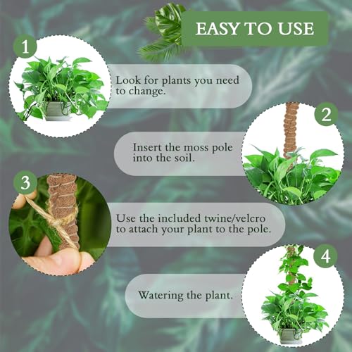 2 Pack 25 Inch Coco Coir Moss Poles for Climbing Indoor Plants - Handmade Plant Support for Creepers to Grow Upwards - view 3