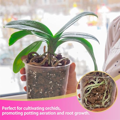 Orchid Potting Mix 1qt，Orchid Soil Composed of Orchid Bark and Perlite，Premium Orchid Medium for Potting, Repotting, Enhanced Drainage, Air Flow & Root Ventilation - view 6