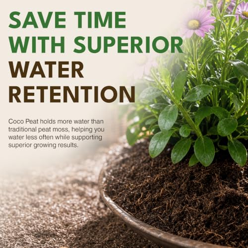Coco Peat Garden Soil, Concentrated Peat-Free Potting Mix - view 4