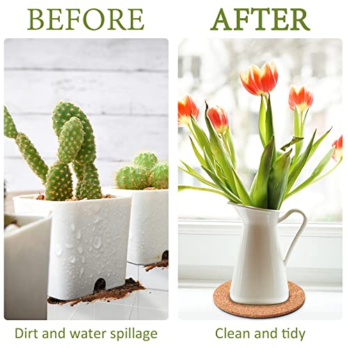 8 Pieces 4 Sizes Cork Plant Saucersplant Mats Round Coasters Pad for Plants House Garden Indoors Pots DIY Craft Project (4 Inches,6 Inches,8 Inches,10 Inches) - view 4