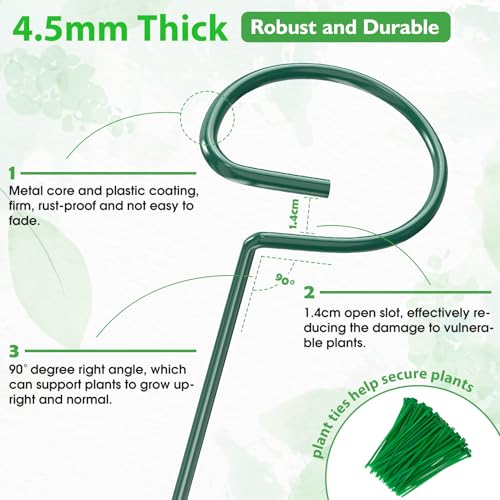24 in Plant Stakes, 12 Pack Garden Plant Support Stakes(12" or 24") - view 6