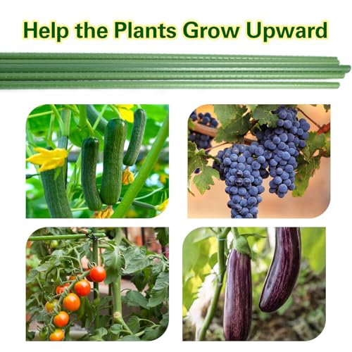 Plant Stakes 36 inch, 3ft Steel Garden Stakes 25 Pack, Sturdy Plant Support for Climbing Plants, Tomatoes, Beans, Cucumbers, Peppers, Flowers, Potted, Strengthen and Stem to Grow Better - view 7