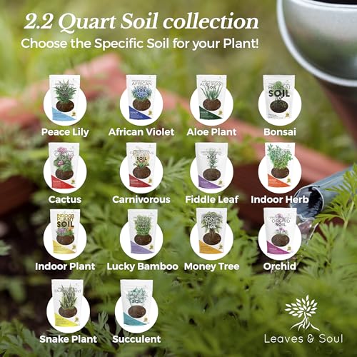 Professional Indoor Plant Soil Mix Large 2.2 Quarts Ready to Use, Premium Potting Soil for Indoor Houseplants Container Plants, Peat Coco Coir Perlite Dolomite Blend Made in USA (Pack of 2) - view 6