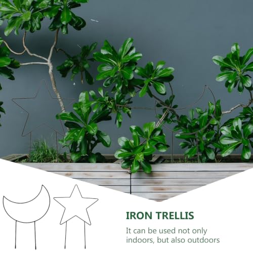 2pcs Iron Moon-Shaped Plant Trellis, Decorative Climbing Support - view 3